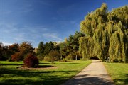 dendrologicka-zahrada-rijen-2010-000.jpg