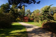 dendrologicka-zahrada-rijen-2010-001.jpg
