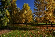 dendrologicka-zahrada-rijen-2010-004.jpg