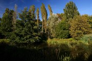 dendrologicka-zahrada-rijen-2010-008.jpg