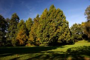 dendrologicka-zahrada-rijen-2010-010.jpg