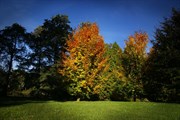 dendrologicka-zahrada-rijen-2010-011.jpg
