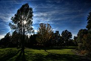 dendrologicka-zahrada-rijen-2010-014.jpg