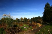 dendrologicka-zahrada-rijen-2010-017.jpg