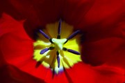 10-let-fotografovani-cervenec-2011-003.jpg