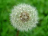 10-let-fotografovani-cervenec-2011-007.jpg