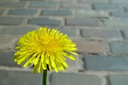 10-let-fotografovani-cervenec-2011-010.jpg