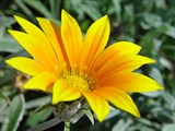 10-let-fotografovani-cervenec-2011-013.jpg