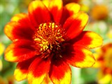 10-let-fotografovani-cervenec-2011-014.jpg