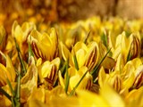 10-let-fotografovani-cervenec-2011-021.jpg