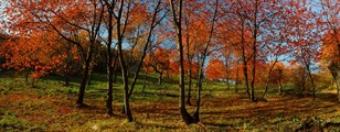 10-let-fotografovani-cervenec-2011-023.jpg