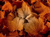 10-let-fotografovani-cervenec-2011-024.jpg