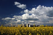 10-let-fotografovani-cervenec-2011-029.jpg