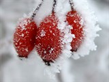 10-let-fotografovani-cervenec-2011-037.jpg