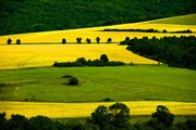 10-let-fotografovani-cervenec-2011-045.jpg