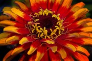 10-let-fotografovani-cervenec-2011-054.jpg