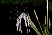 10-let-fotografovani-cervenec-2011-058.jpg