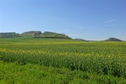tetinsrbskoduben2025_018.jpg