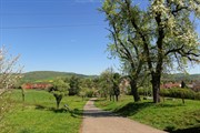 tetinsrbskoduben2025_052.jpg
