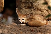 zoozari2025_018.jpg