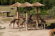 zoozari2025_037.jpg