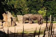 zoozari2025_045.jpg