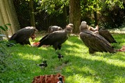 zoozari2025_057.jpg