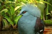 zoozari2025_063.jpg