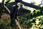 zoozari2025_117.jpg