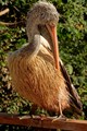 zoozari2025_191.jpg