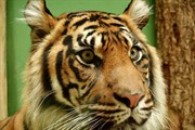 zoozari2025_223.jpg