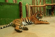 zoozari2025_230.jpg