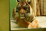 zoozari2025_249.jpg