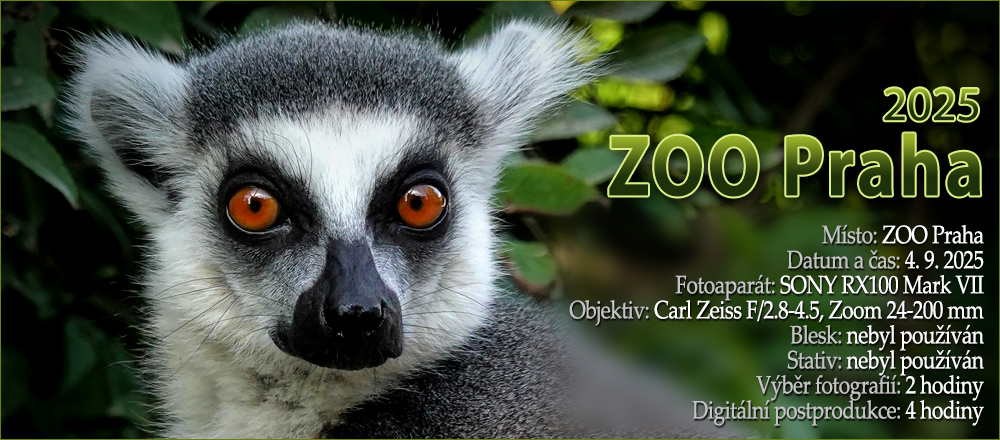 ZOO, září 2025